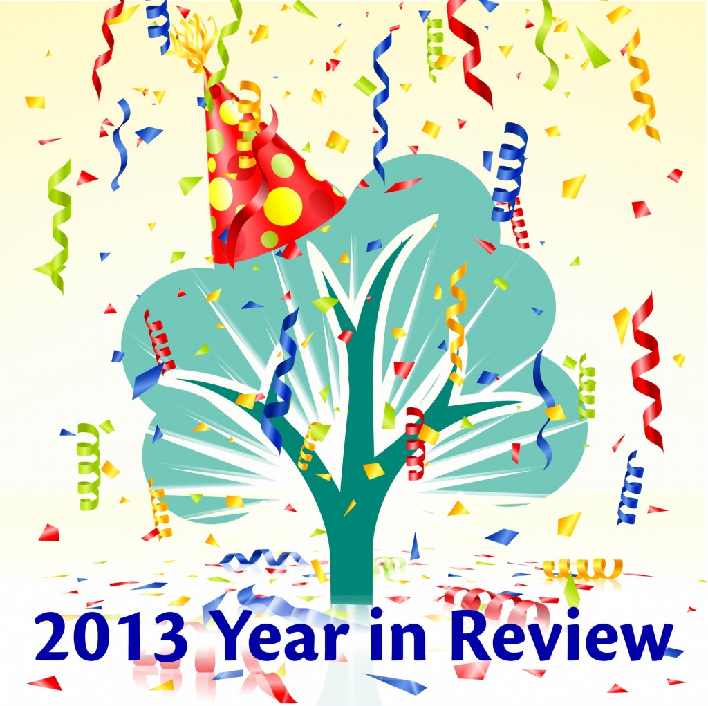 2013 Year in Review